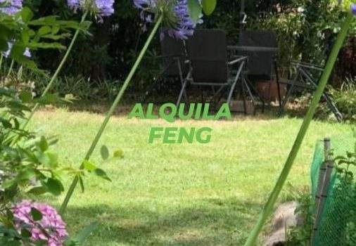 Servicios Alquiler Hercules Pinamar Buenos Aires
